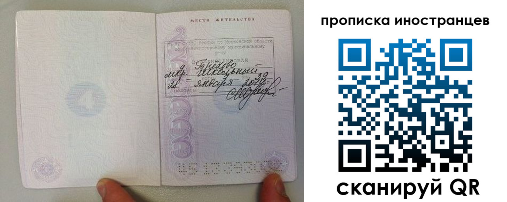 прописка поиск в Сосновом Бору